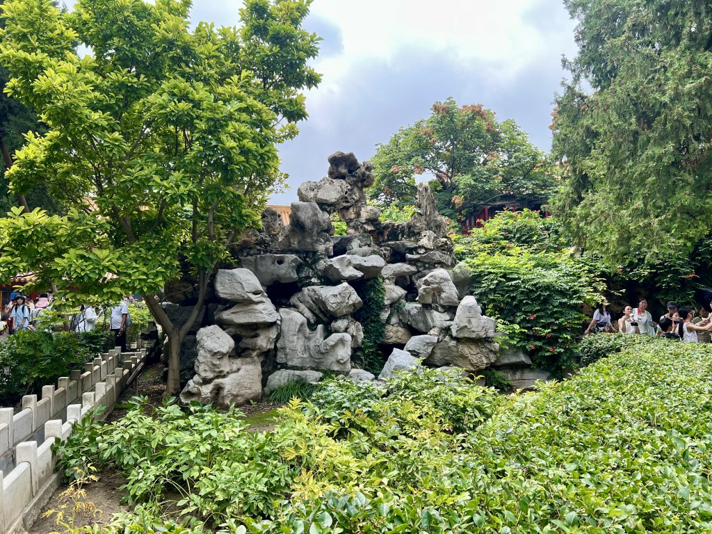 IMG_6816.jpeg