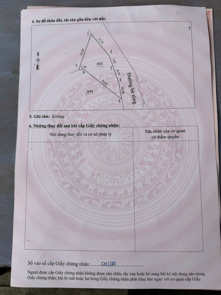 1000009368.jpg