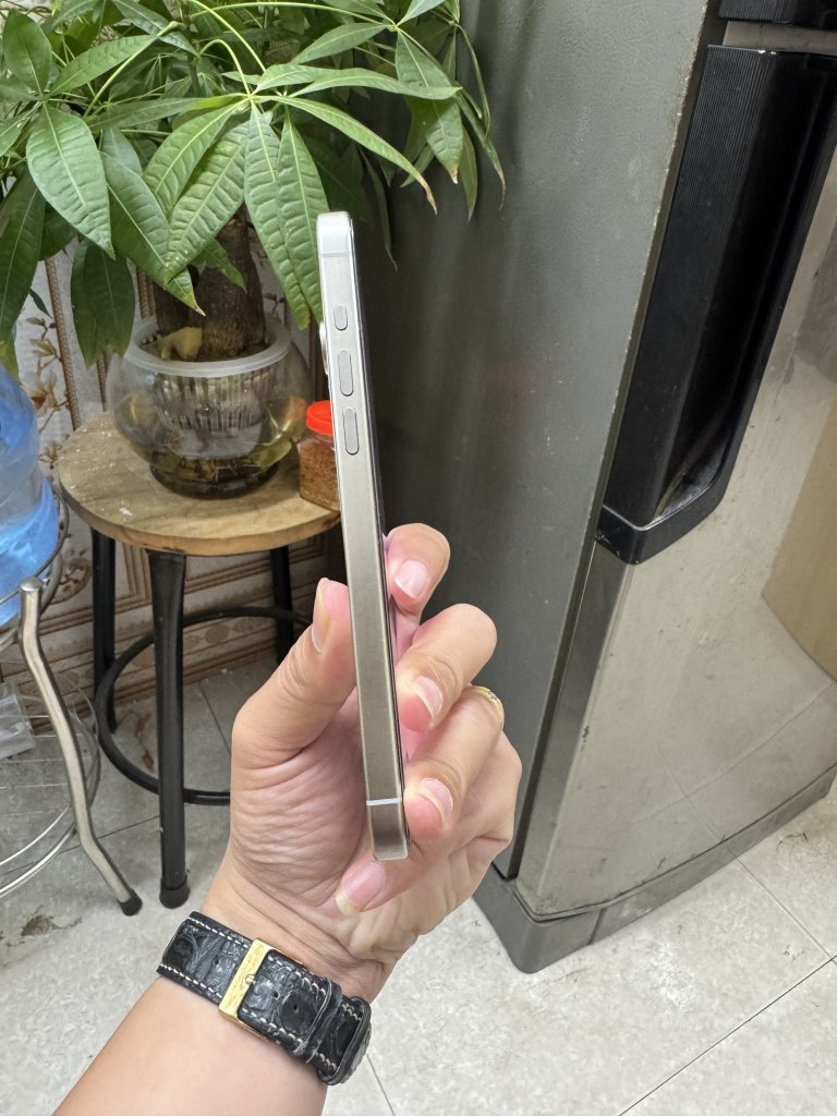 IMG_5460.jpeg