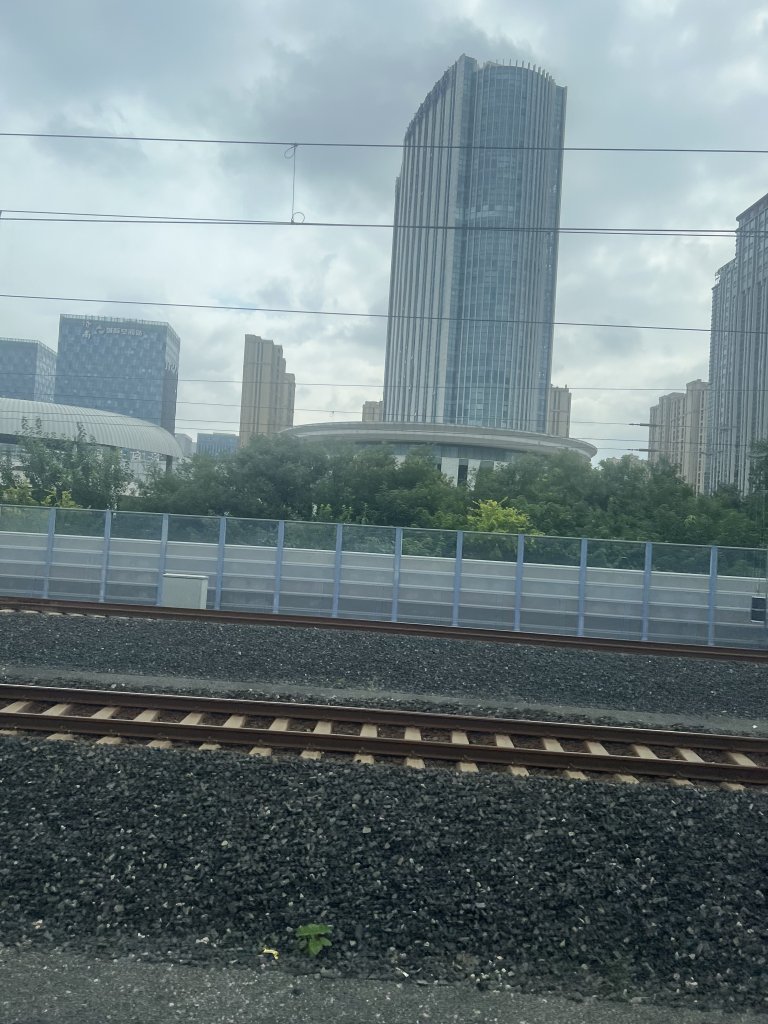 IMG_7217.jpeg