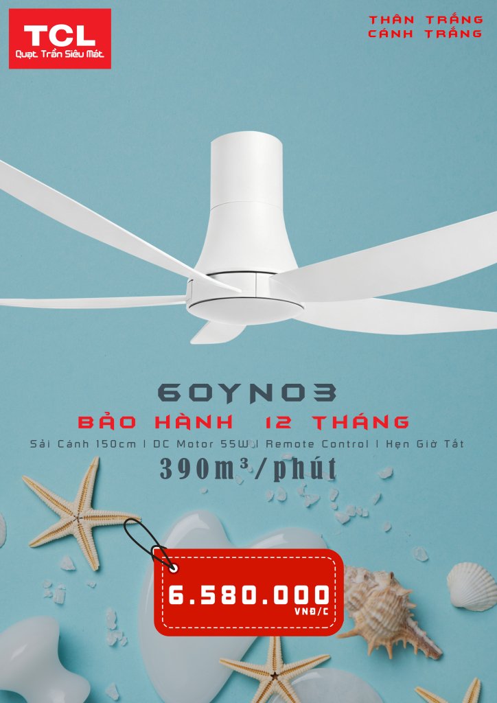 60YN03 TRẮNG 1.jpg