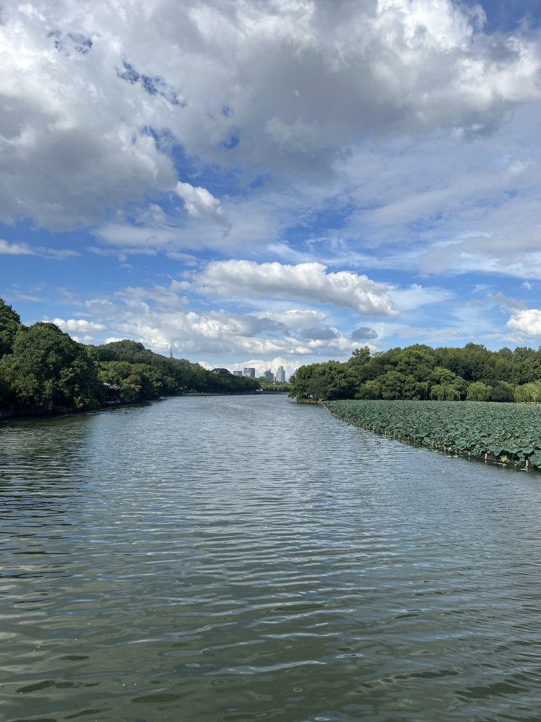 IMG_7364.jpeg