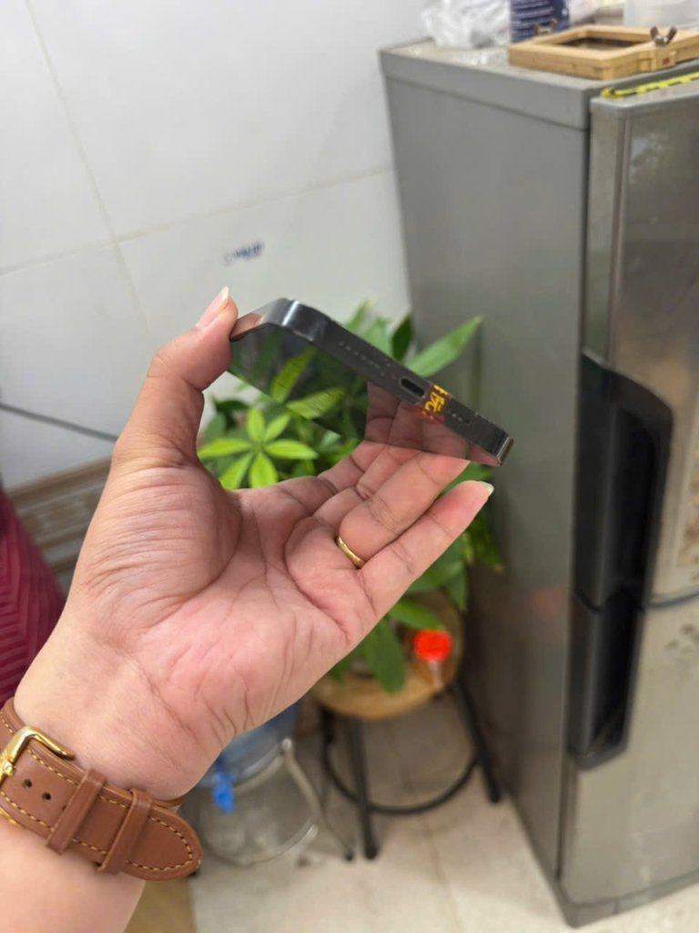 IMG_1091.jpeg