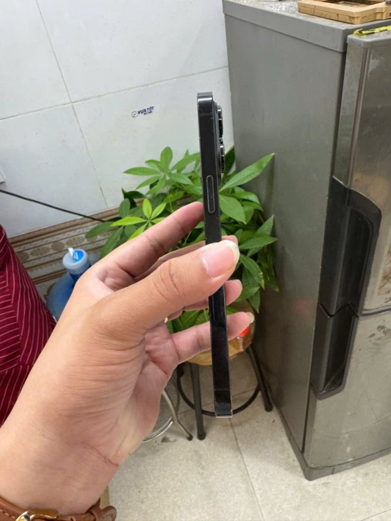 IMG_1089.jpeg