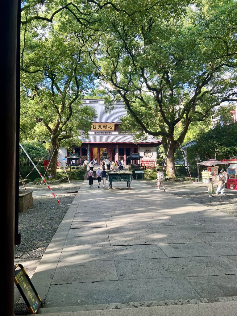IMG_7374.jpeg