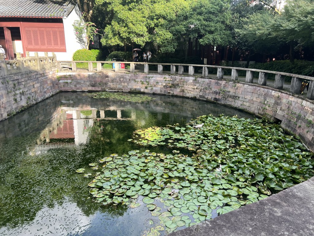 IMG_7393.jpeg