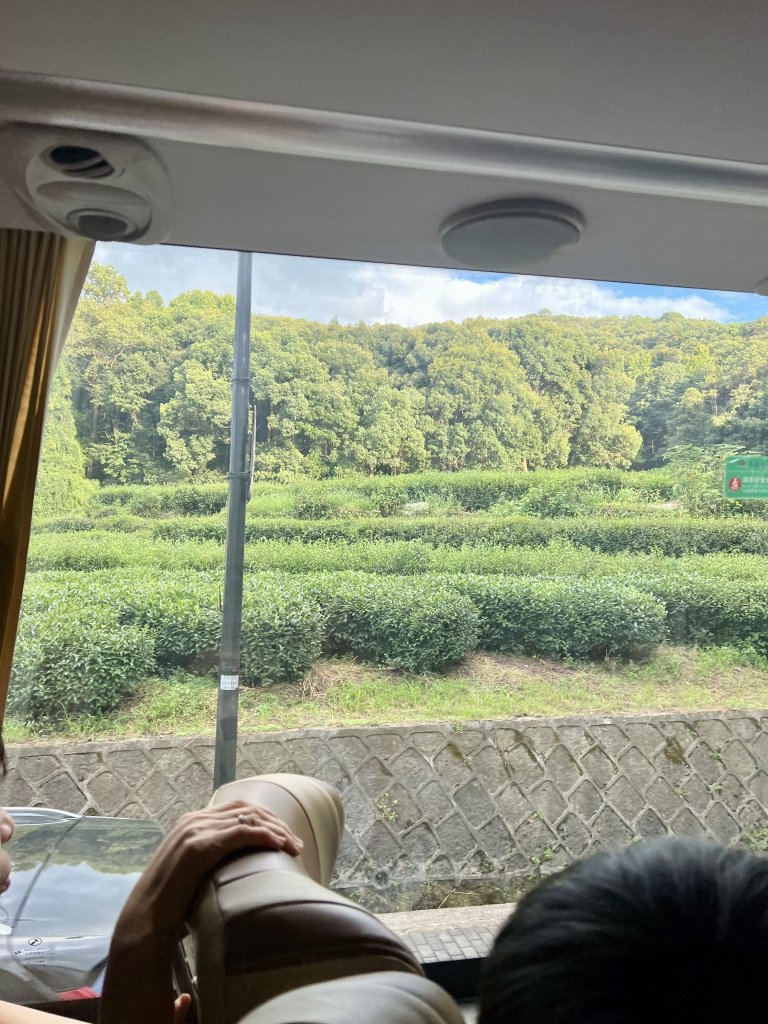 IMG_7412.jpeg