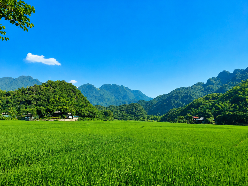 Mai Chau 2.png