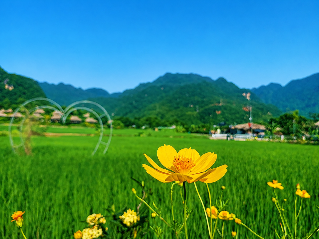 Mai Chau 3.png