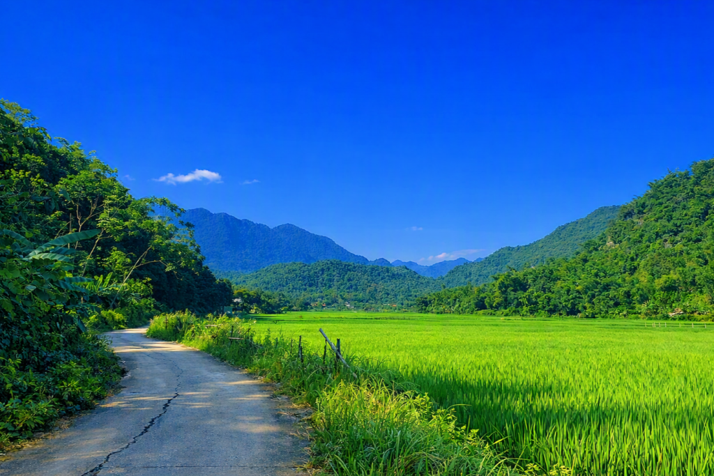 Mai Chau 4.png