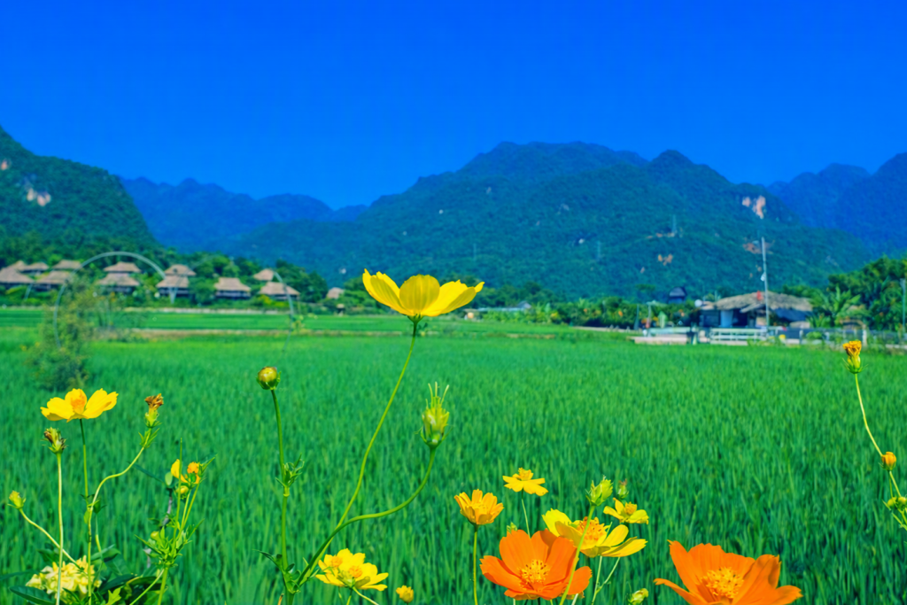 Mai Chau 6.png
