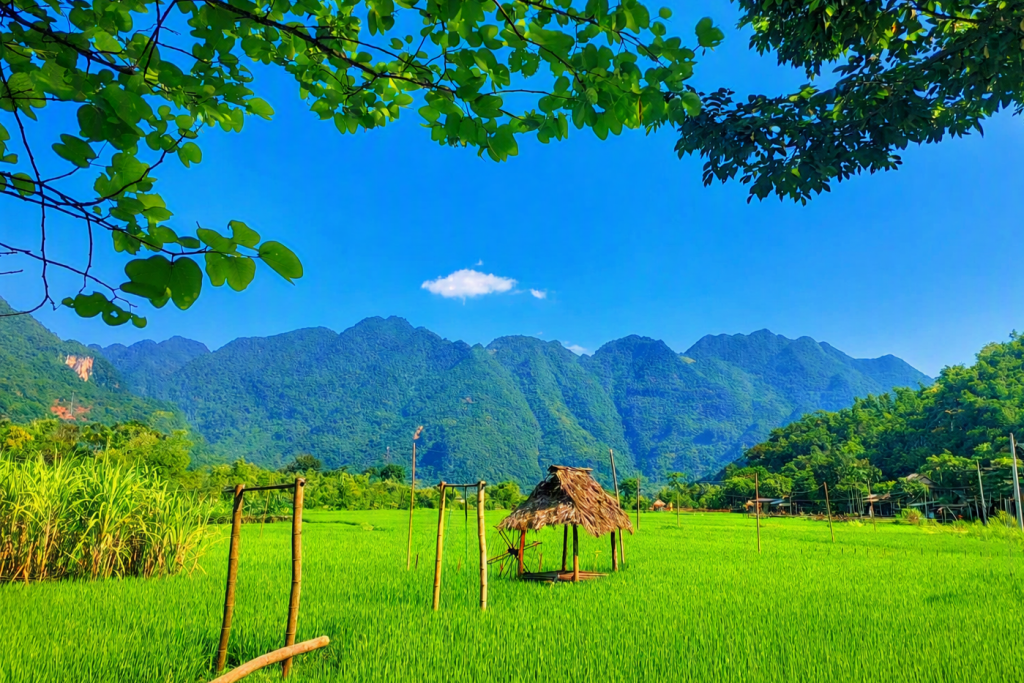 Mai Chau 8.png