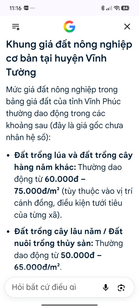 5133.jpg