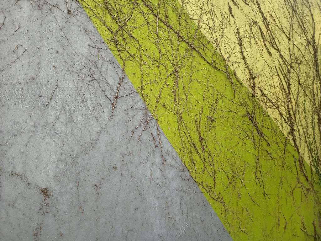 IMG20260907071513.jpg