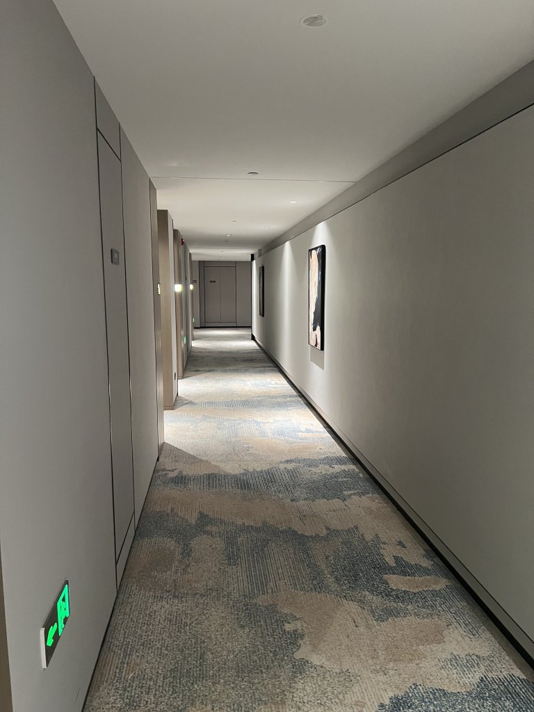 IMG_7567.jpeg