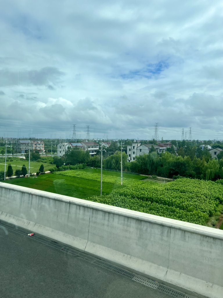 IMG_7611.jpeg