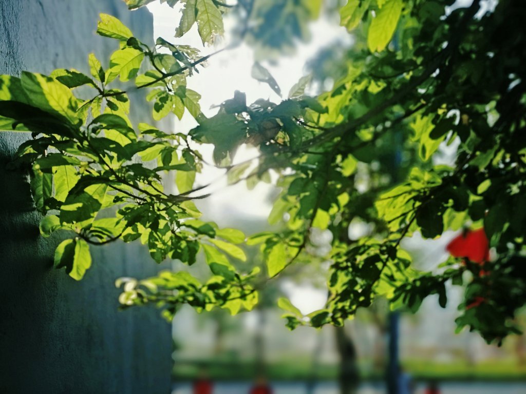 MEITU_20260908_075358166.jpg