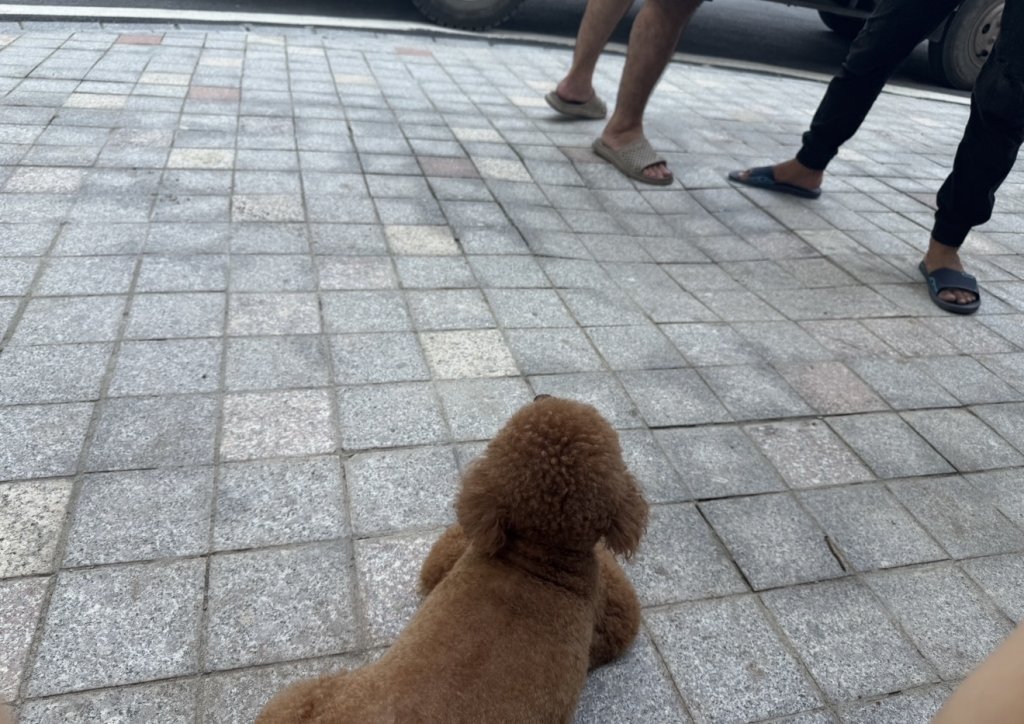 IMG_8514.jpeg