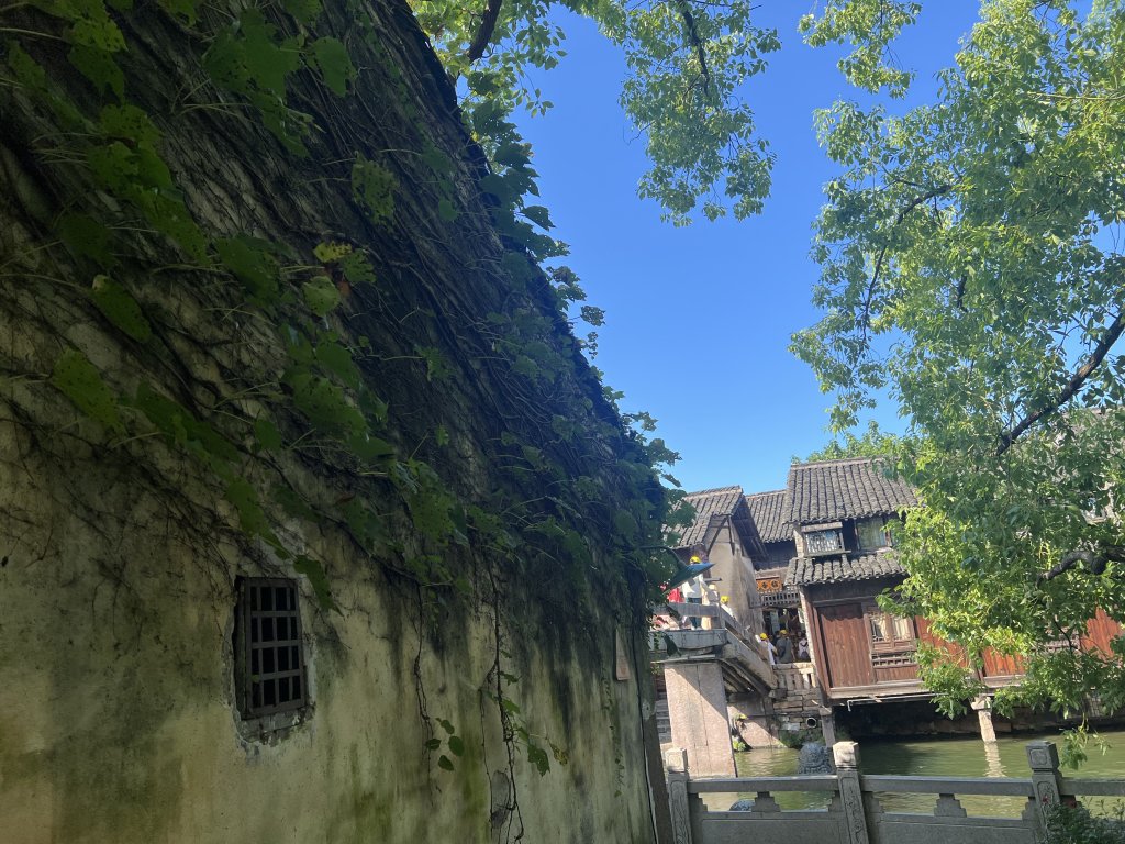 IMG_7725.jpeg