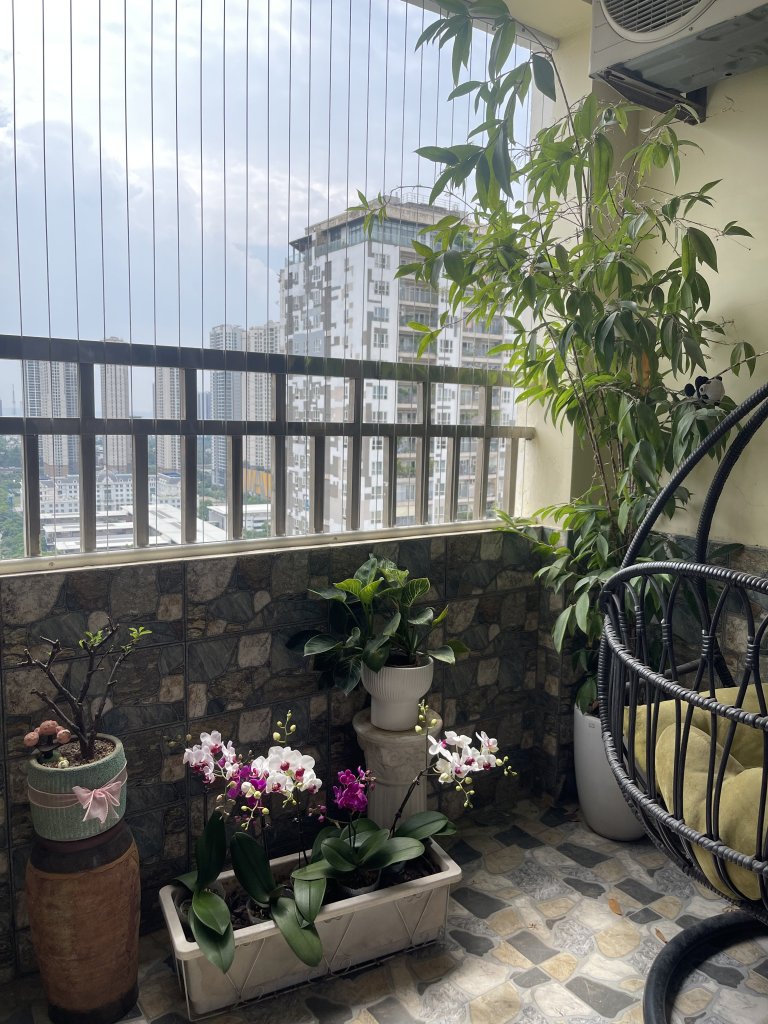 IMG_0846.jpeg