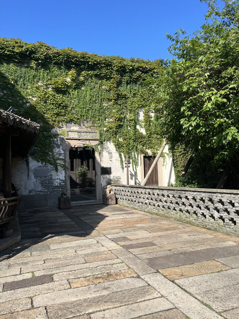 IMG_7734.jpeg