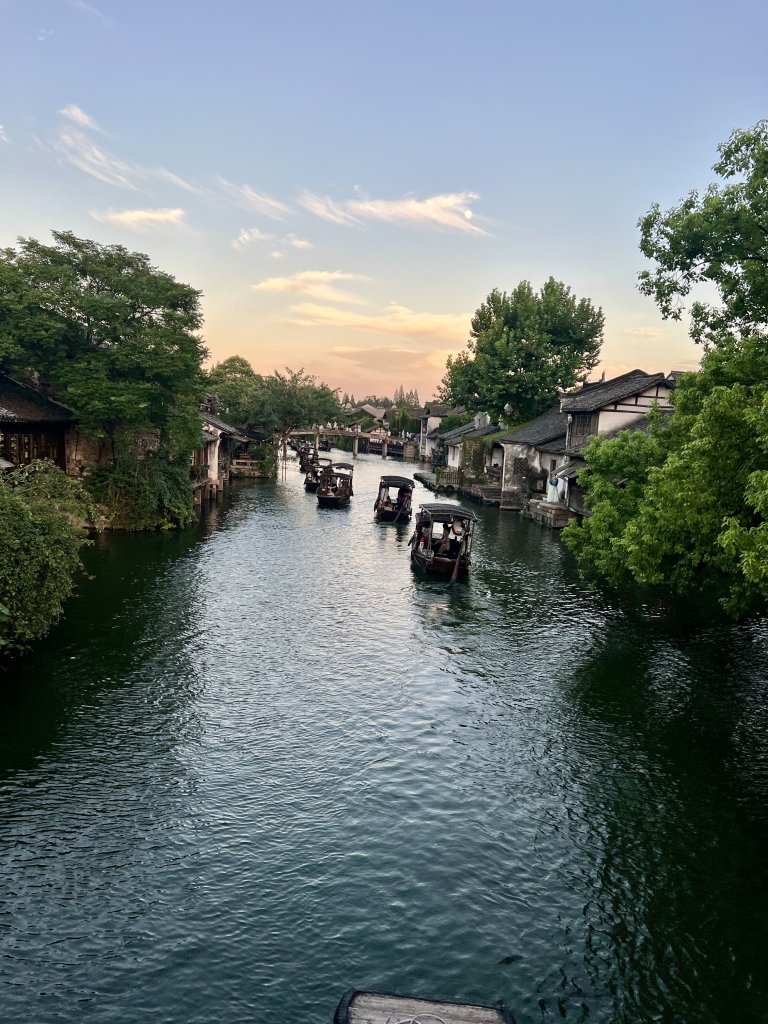 IMG_7863.jpeg