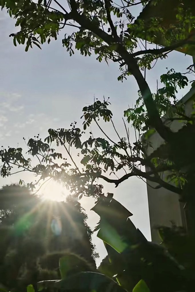 MEITU_20260909_075839869.jpg