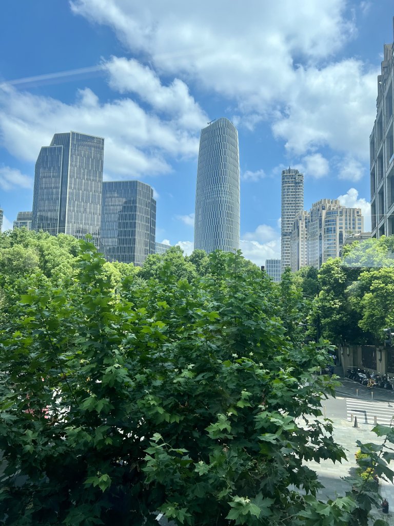 IMG_8011.jpeg
