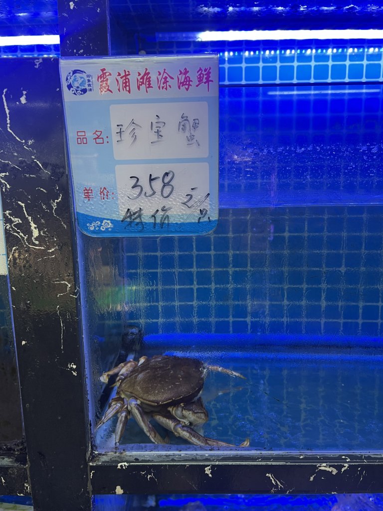 IMG_8068.jpeg