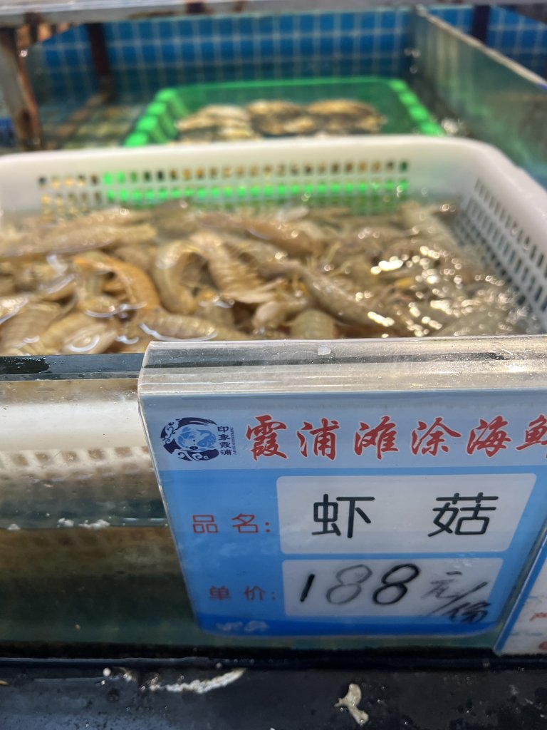 IMG_8072.jpeg