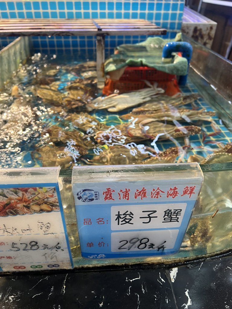 IMG_8073.jpeg
