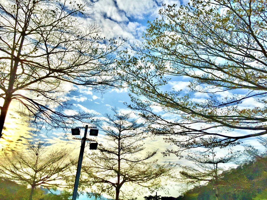 IMG_4183.jpeg