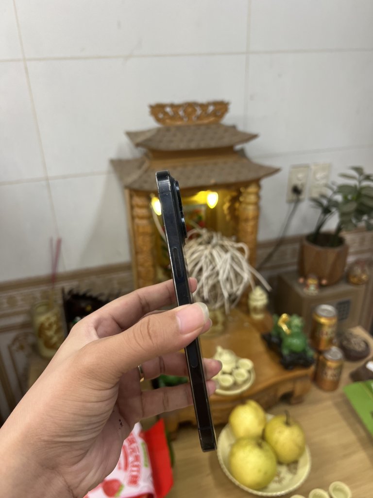 IMG_1324.jpeg