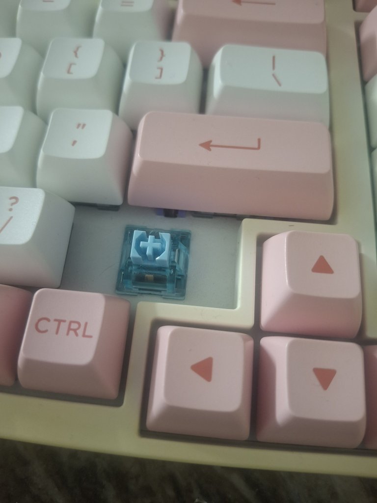 1000067366.jpg