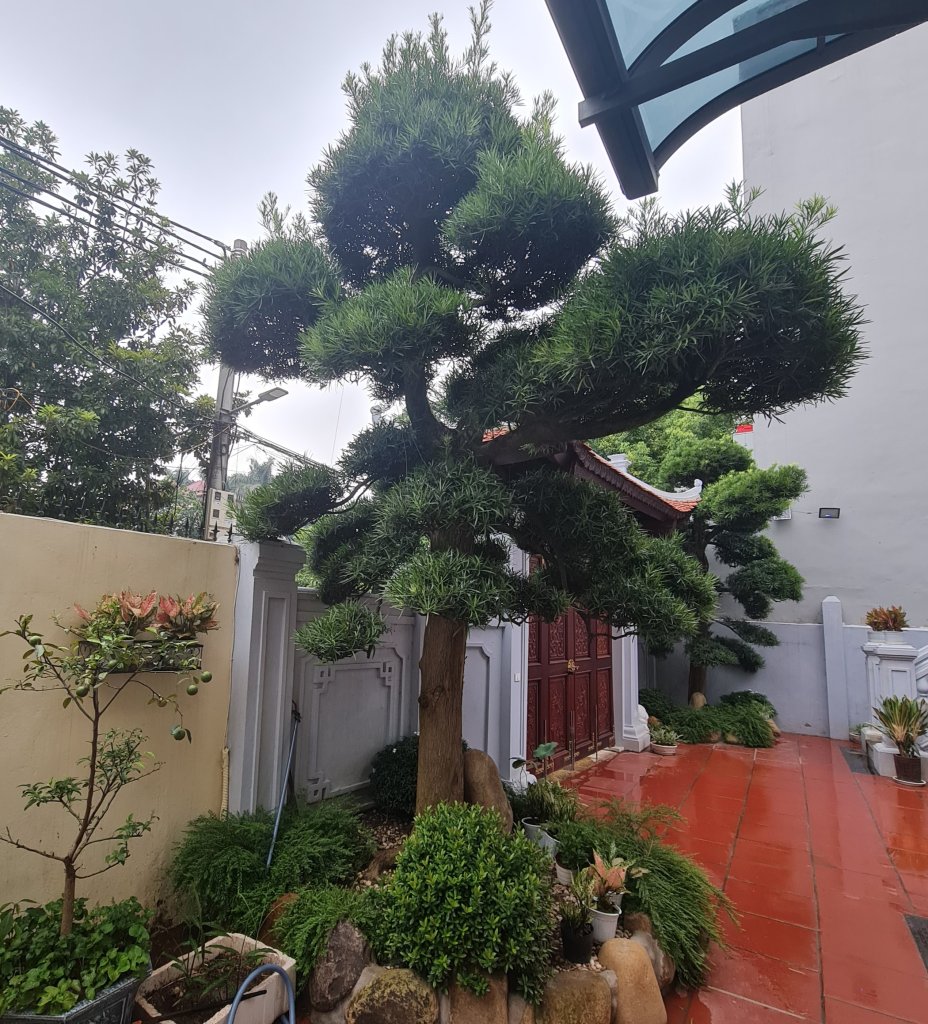 20260913_165259.jpg