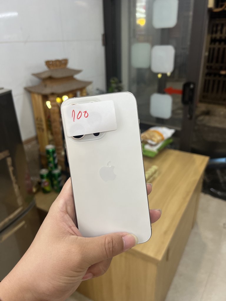 IMG_1411.jpeg