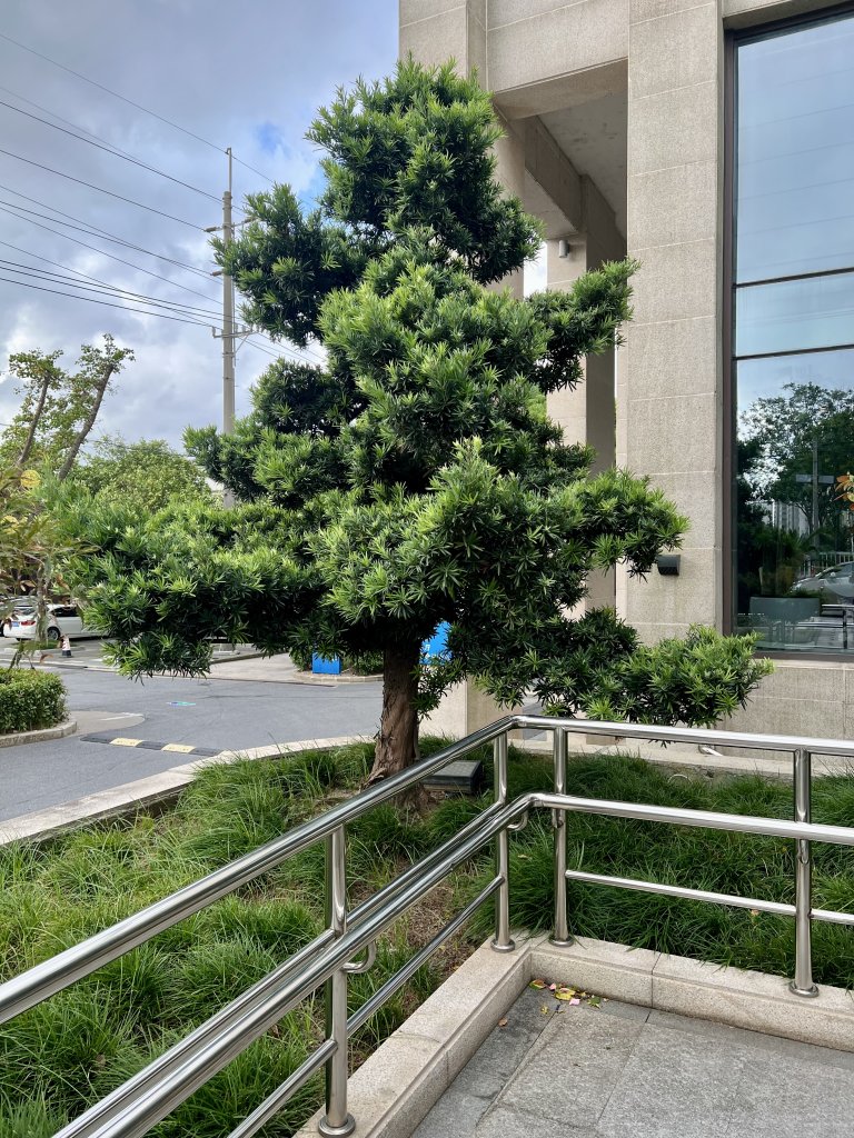 IMG_8530.jpeg