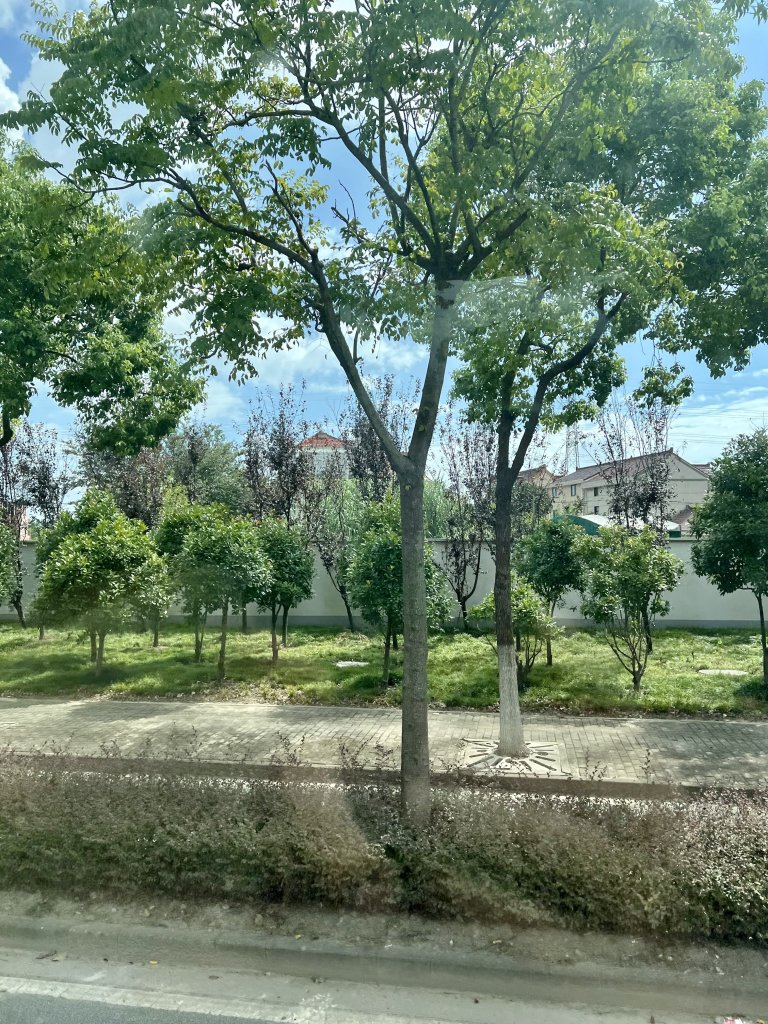 IMG_8543.jpeg