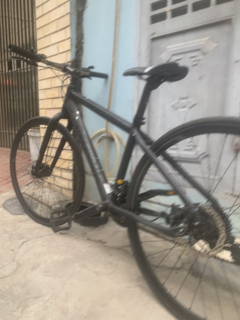 IMG_0328.jpeg