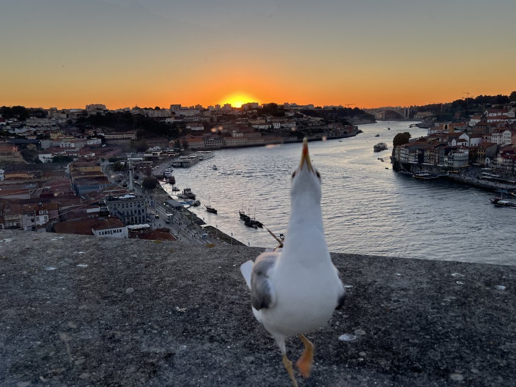 IMG_0943.jpeg