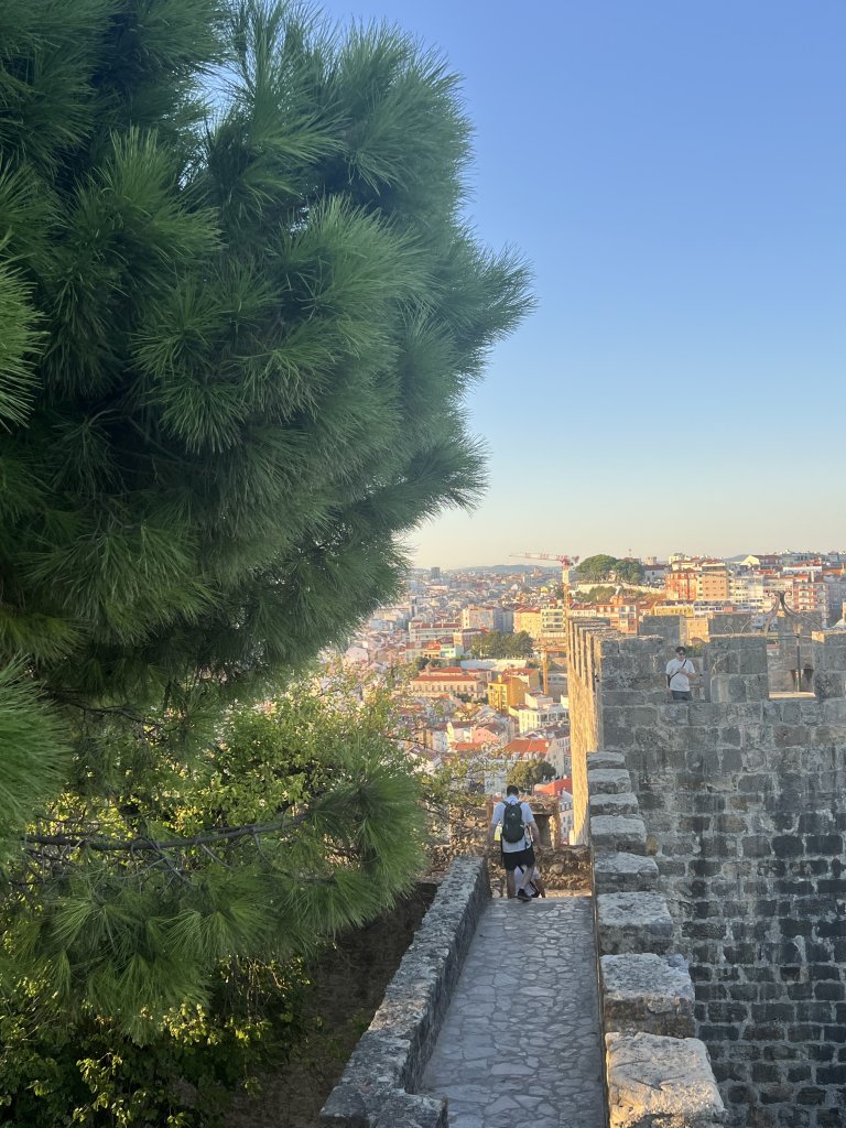 IMG_1047.jpeg