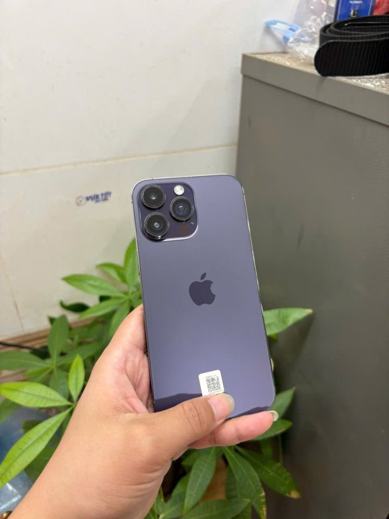IMG_5573.jpeg