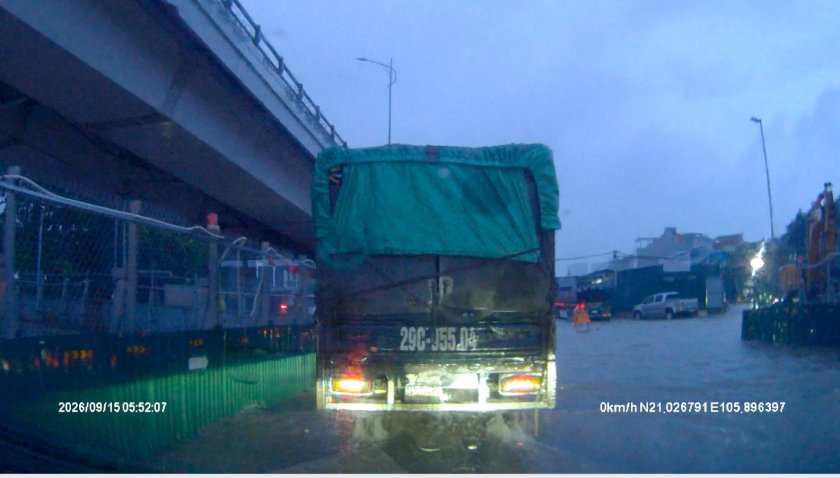 Co linh.JPG