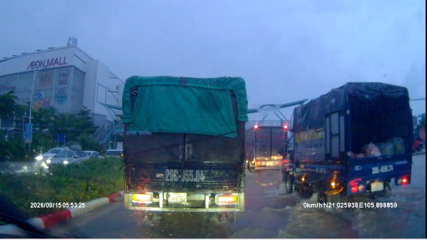 Co linh 01.JPG