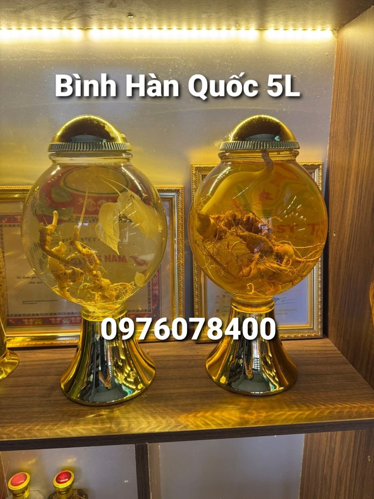 Binhhanquoc5litngamsamngoclinh.jpg
