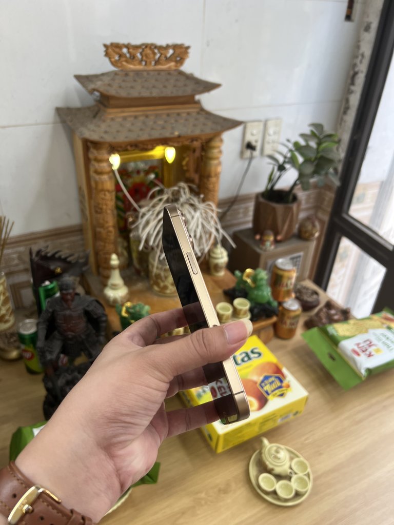 IMG_1676.jpeg