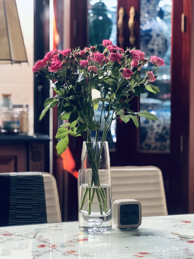 IMG_9618.jpeg