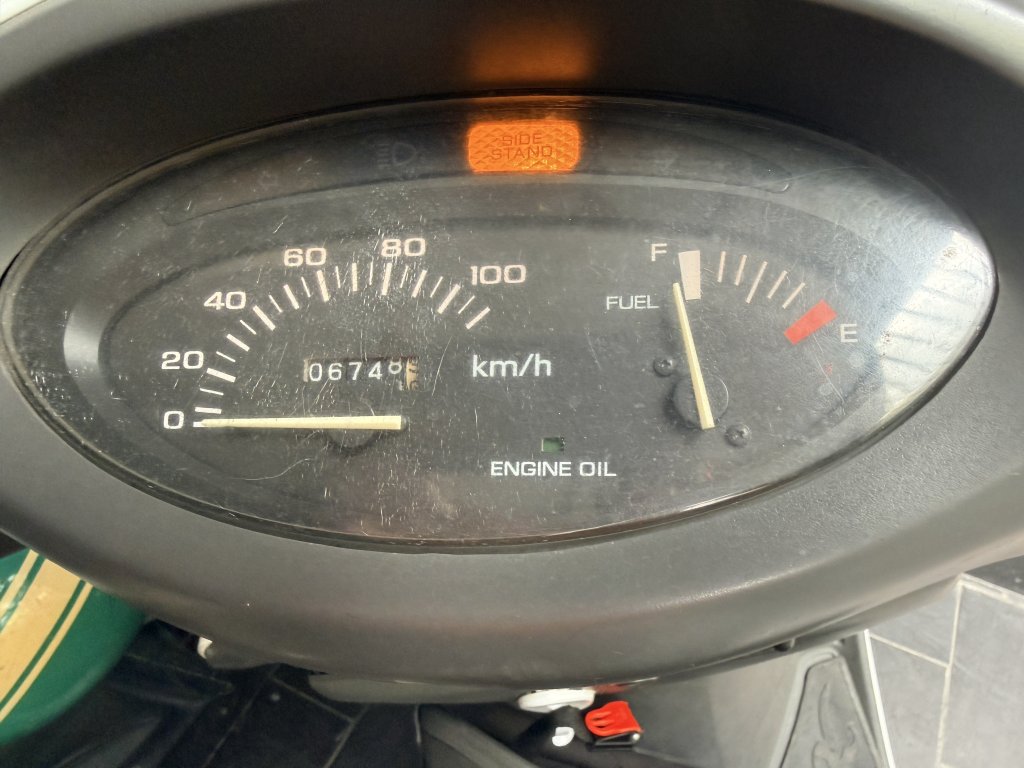 IMG_9031.jpeg