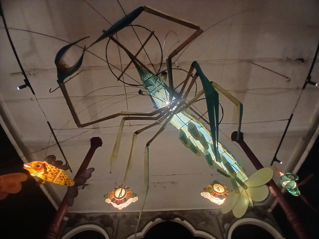 20260919_151909.jpg