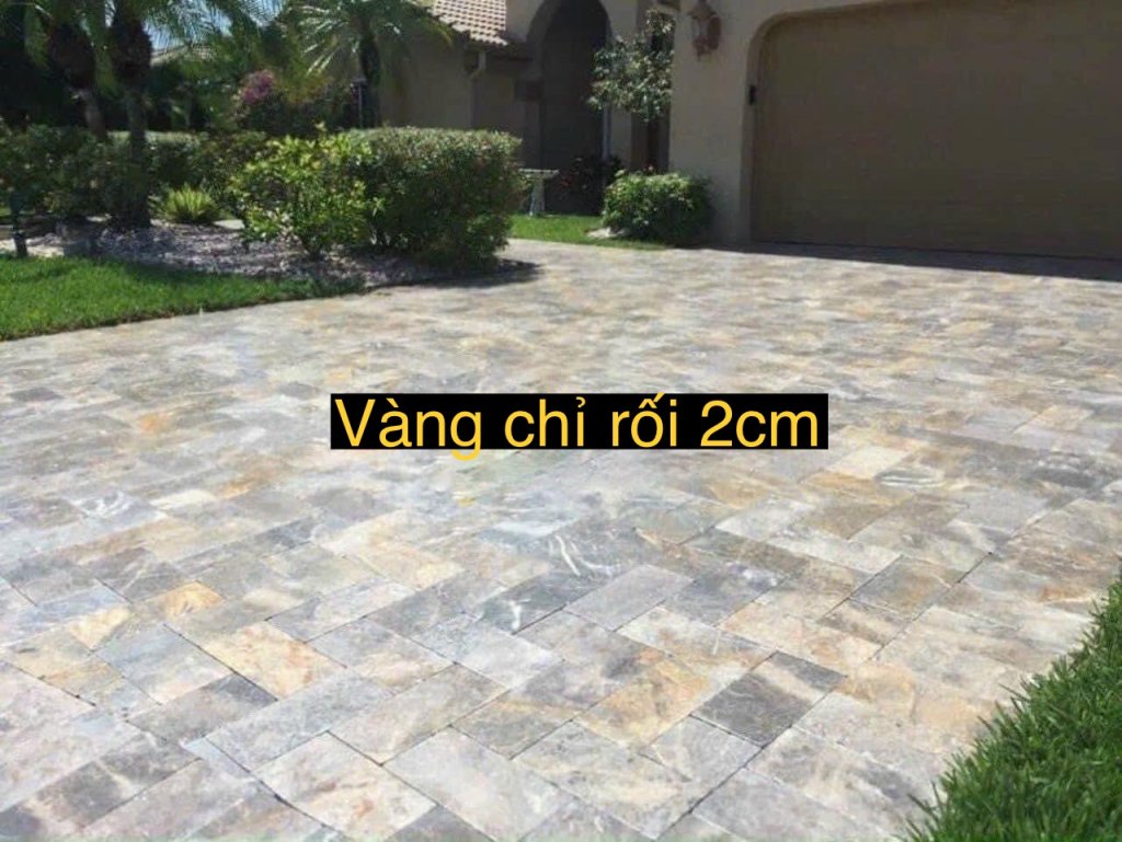 IMG_4661.jpeg